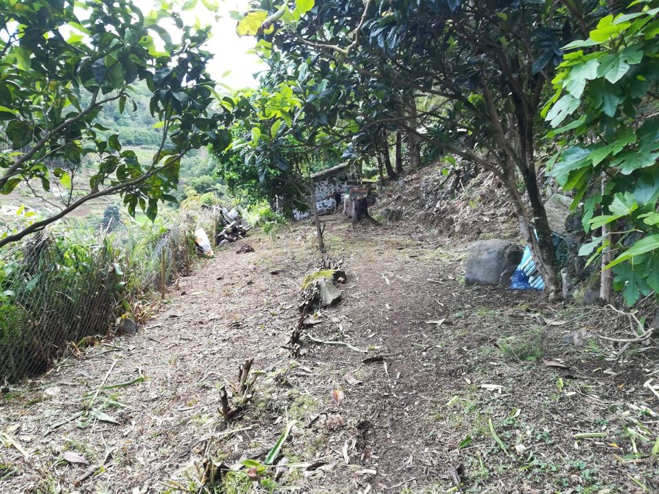 Helårsgrund i Lomba da Fazenda, Sao Miguel - foto 2