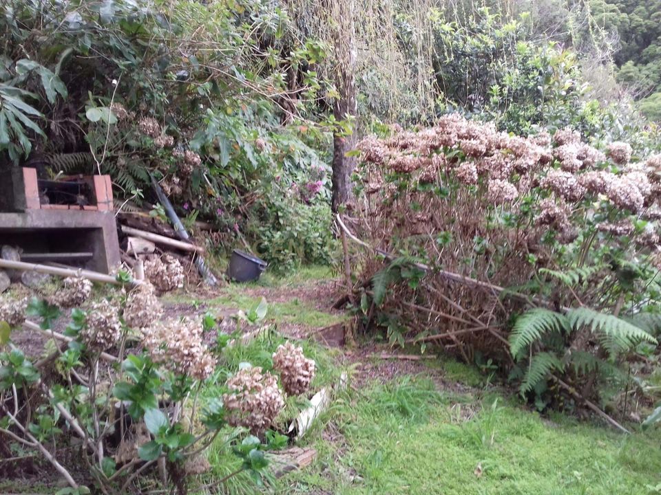 Helårsgrund i Lomba da Fazenda, Sao Miguel - foto 5