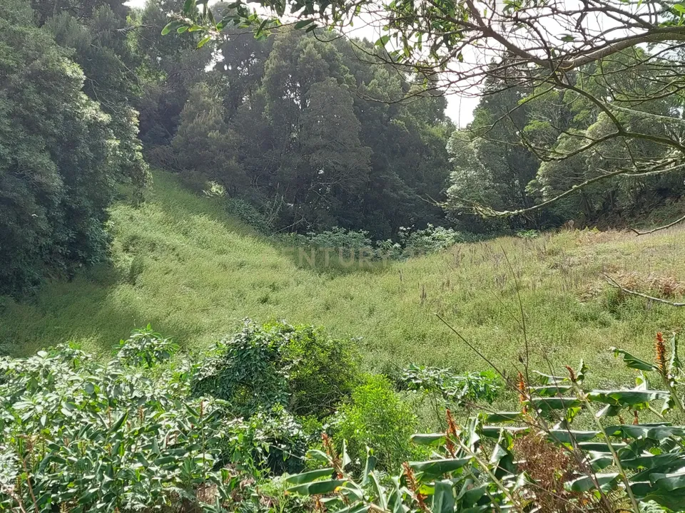 Helårsgrund i Água de Alto, Sao Miguel - foto 1