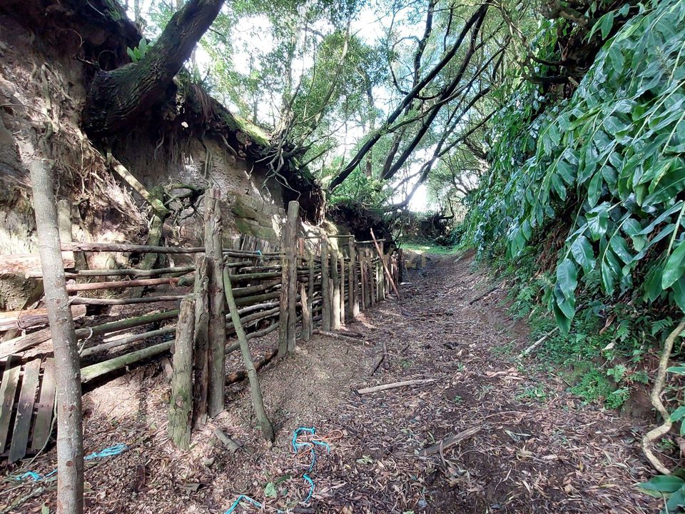 Helårsgrund i Água de Alto, Sao Miguel - foto 2