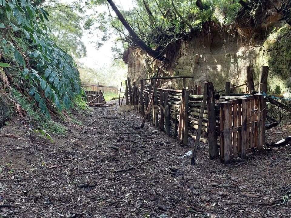 Helårsgrund i Água de Alto, Sao Miguel - foto 3