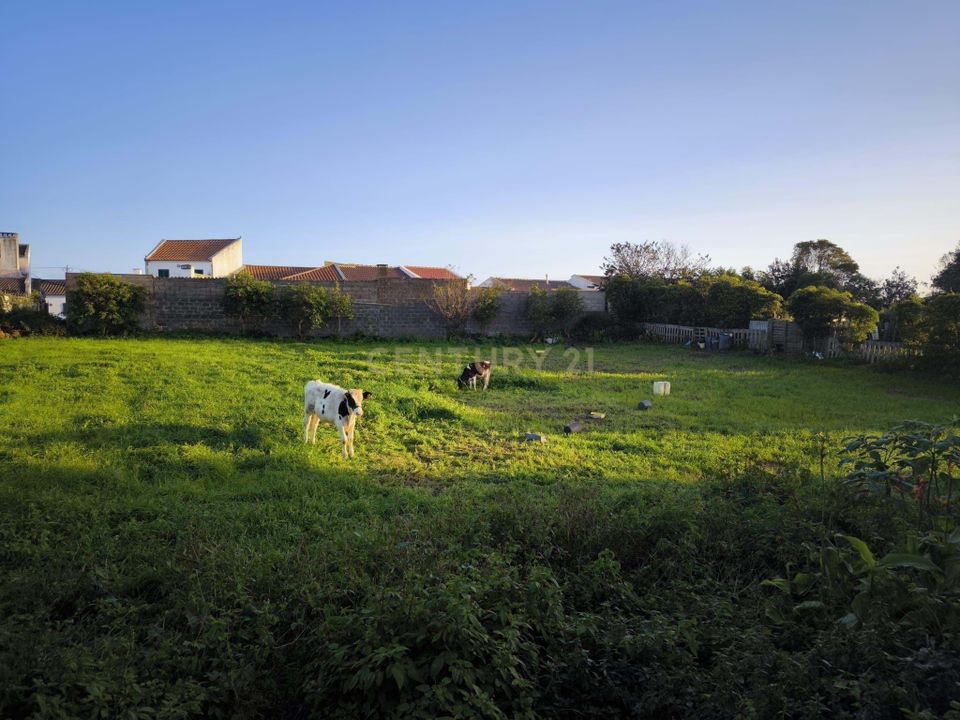 Helårsgrund i Carvoeiro, Faro - foto 3