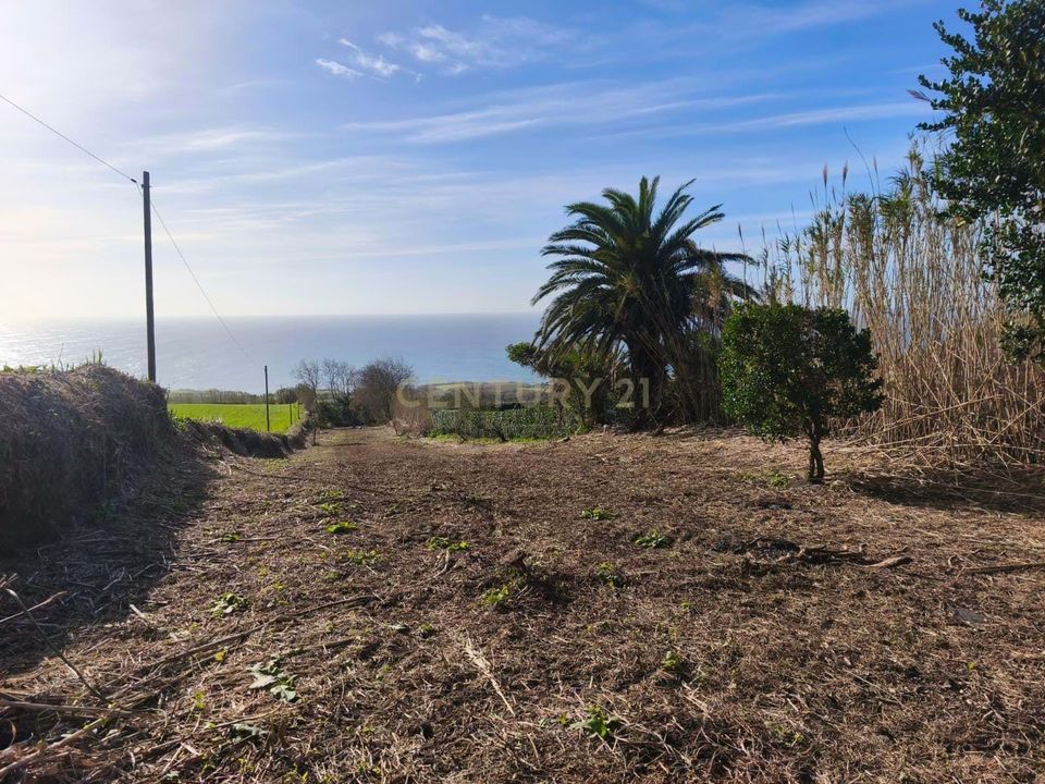 Tomt i Ginetes, Sao Miguel - bilde 4