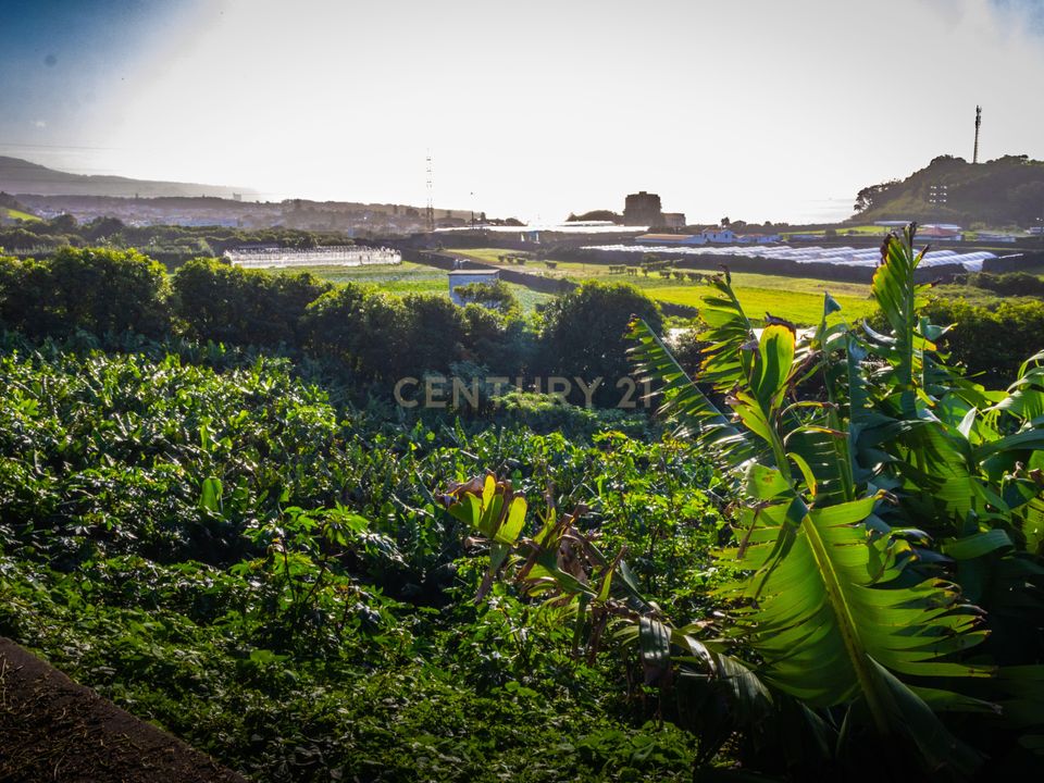 Helårsgrund i Ponta Delgada, Sao Miguel - foto 4