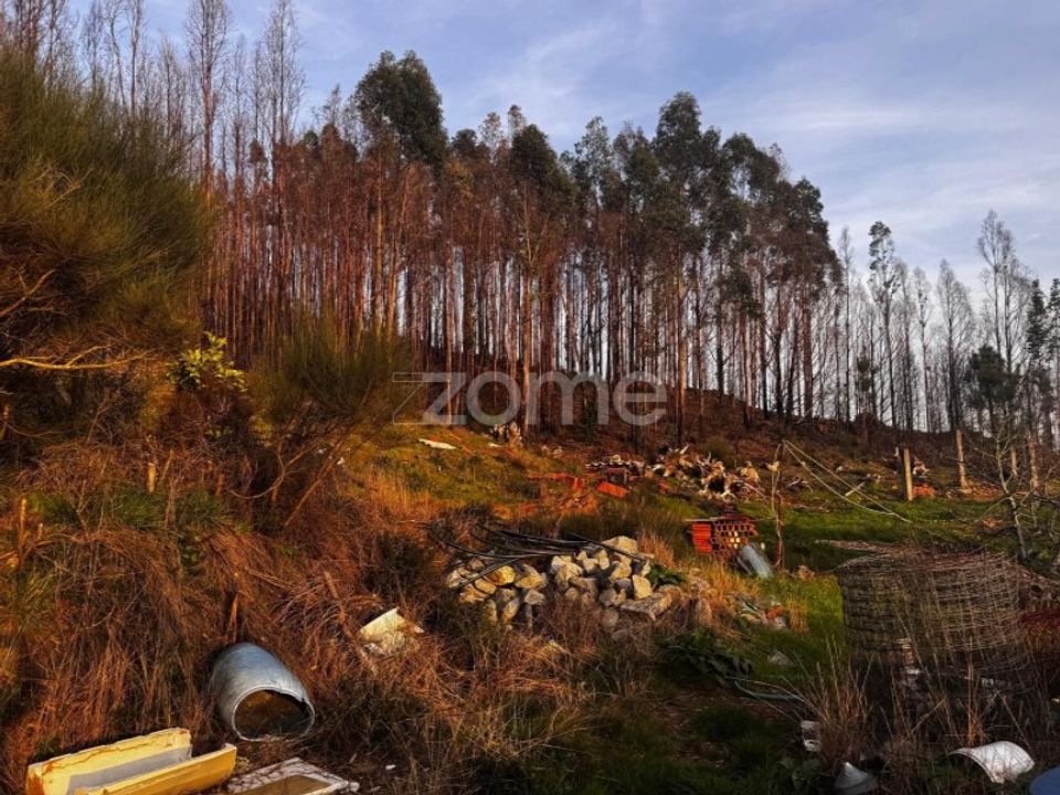 Grond in Melres e Medas, Porto - foto 5