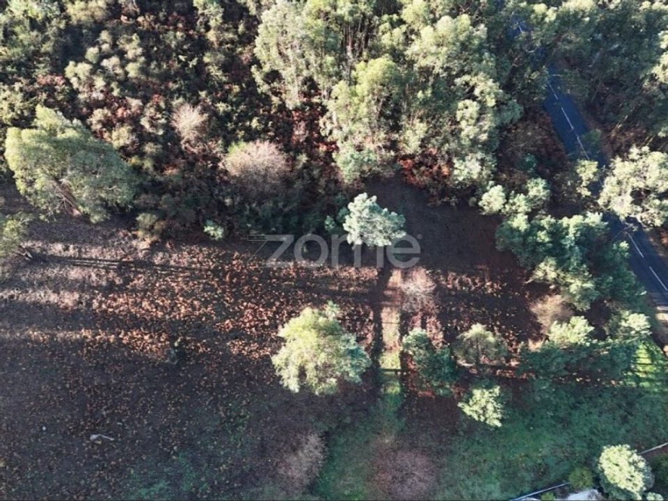 Helårsgrund i Povoa de Lanhoso, Braga - foto 2