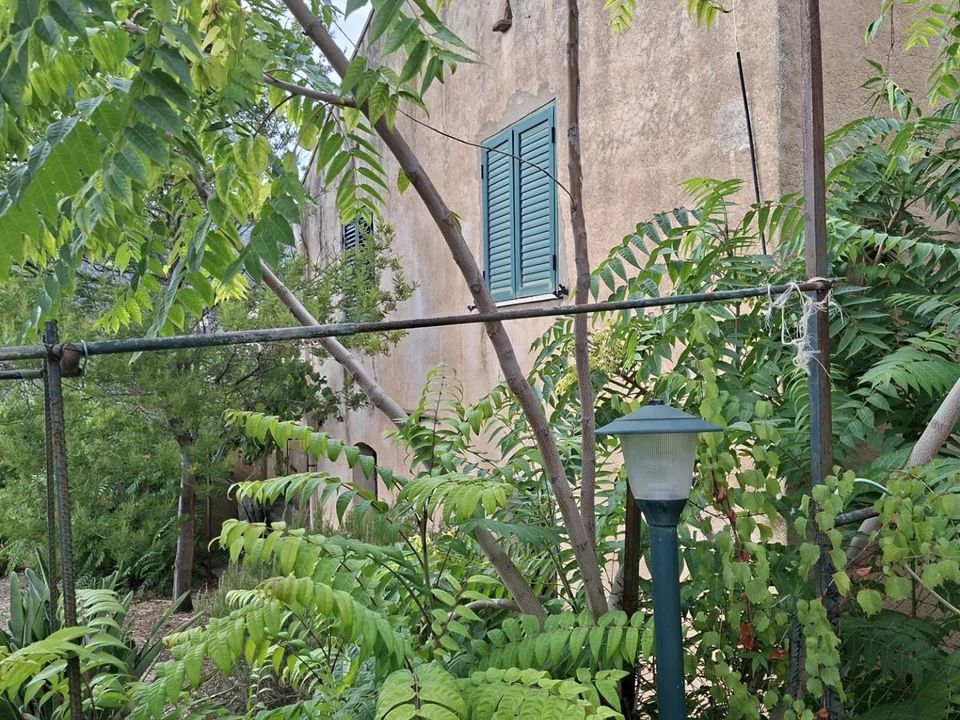 Landejendom i San Mauro Castelverde, Palermo - foto 5