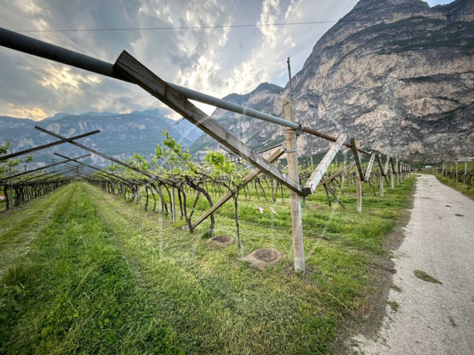 Tomt i Salorno sulla Strada del Vino, South Tyrol - bilde 3