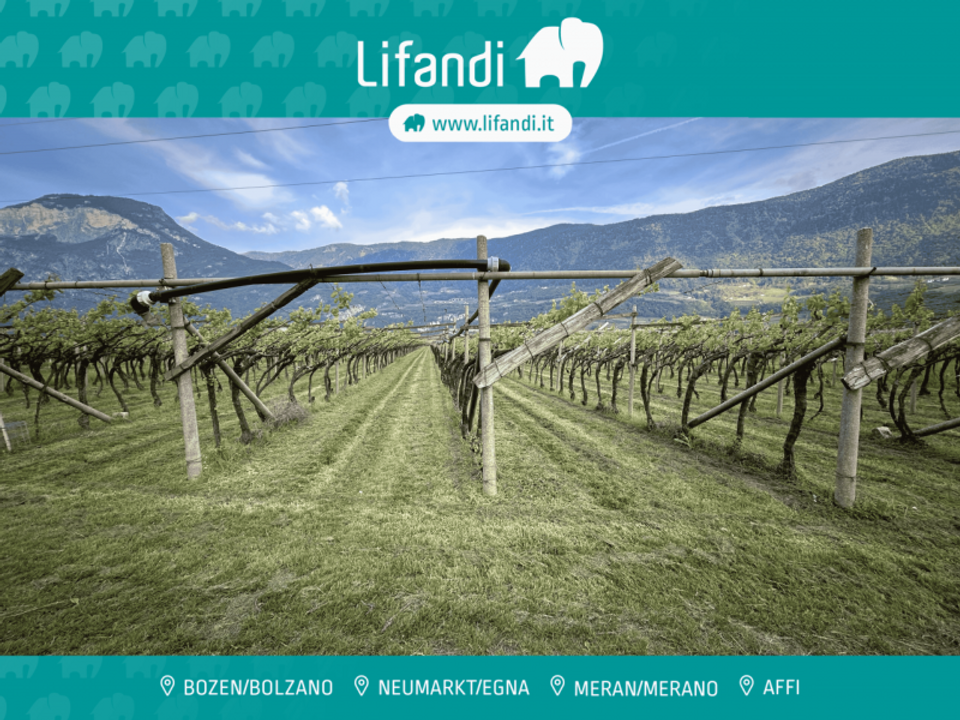 Helårsgrund i Salorno sulla Strada del Vino, South Tyrol - foto 1