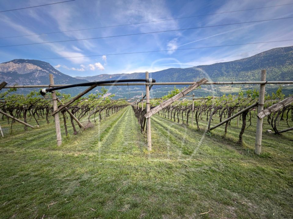 Helårsgrund i Salorno sulla Strada del Vino, South Tyrol - foto 4