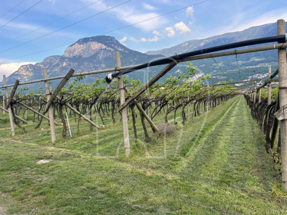 Helårsgrund i Salorno sulla Strada del Vino, South Tyrol - foto 5