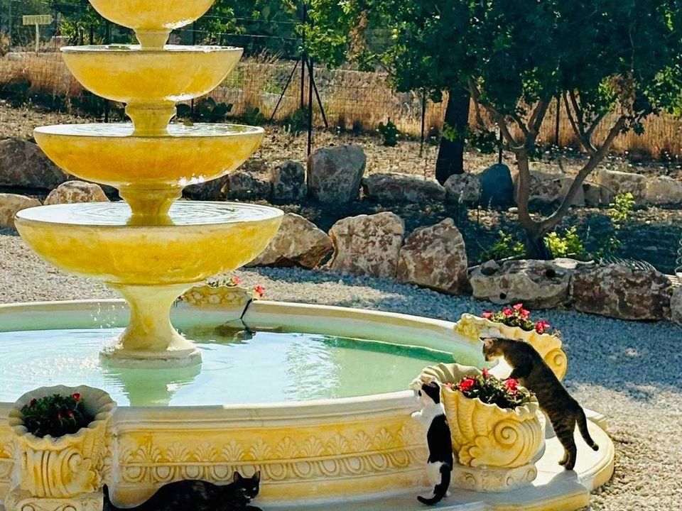 Villa i Avola, Siracusa - foto 2