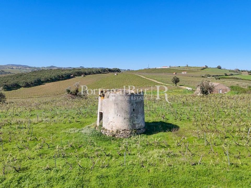 Granja a Alenquer, Lisbon - foto 5