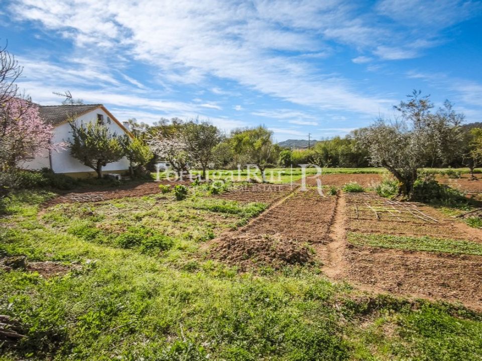 Farm i Marvao, Portalegre - foto 3