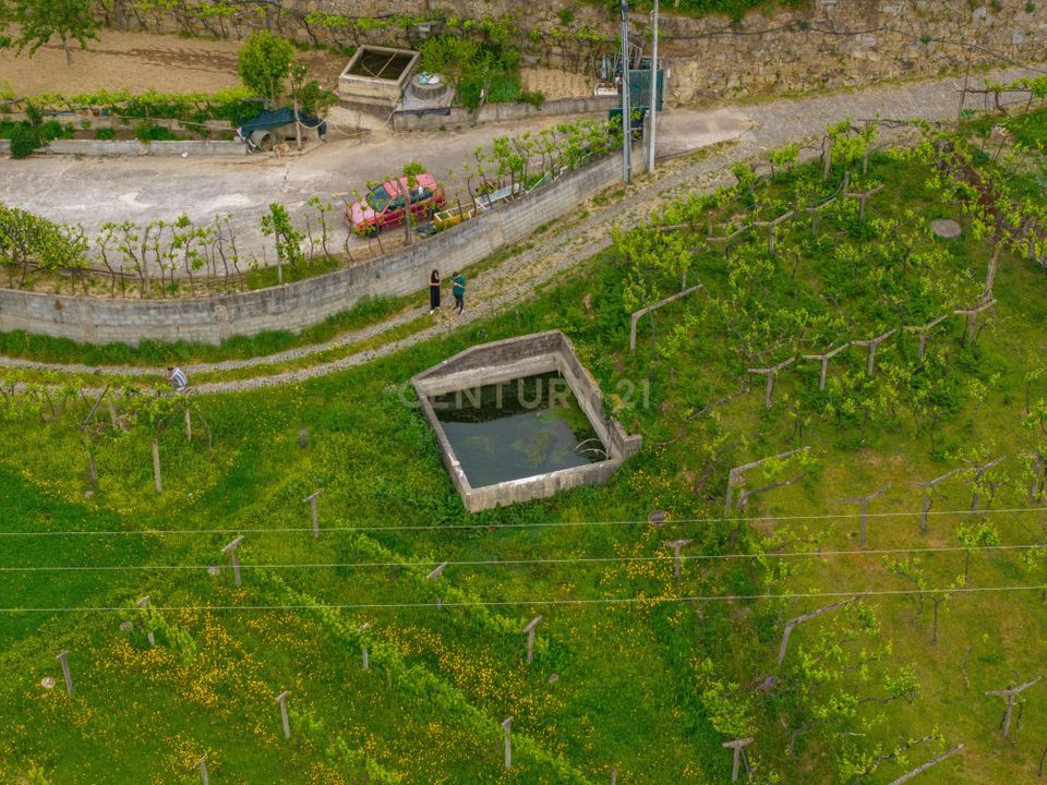 Helårsgrund i Sande e Sao Lourenco do Douro, Porto - foto 2