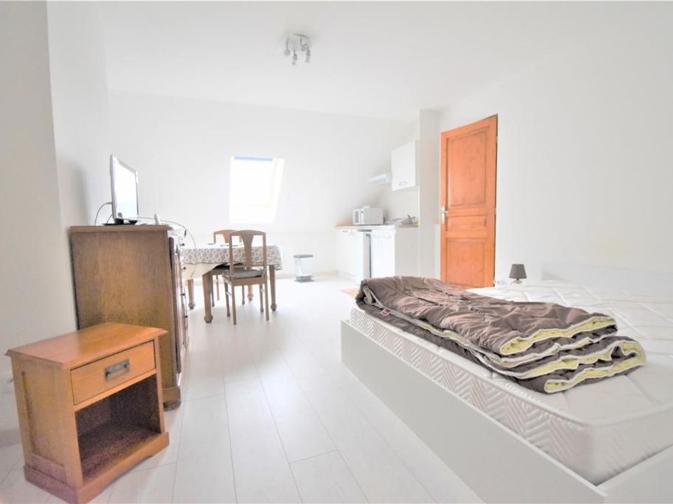 Studio i La Chapelle-Saint-Mesmin, Loiret - foto 2