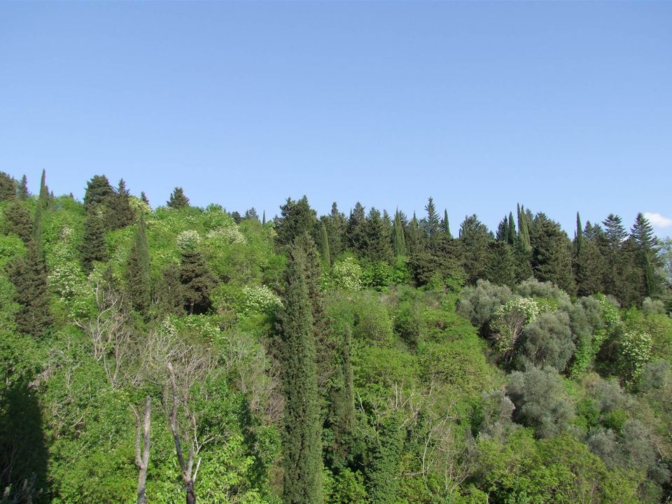 Villa i Rufina, Florence - foto 5