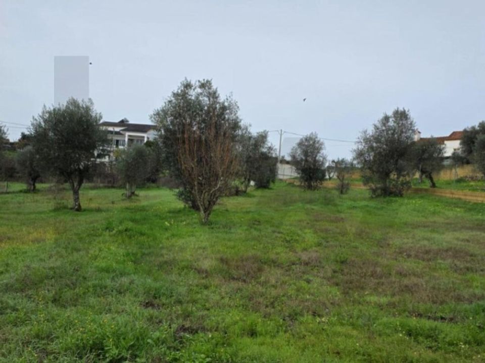 Terra a Mouriscas, Santarem - foto 2