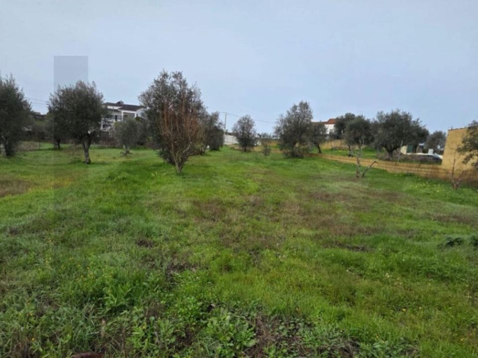 Terra a Mouriscas, Santarem - foto 4