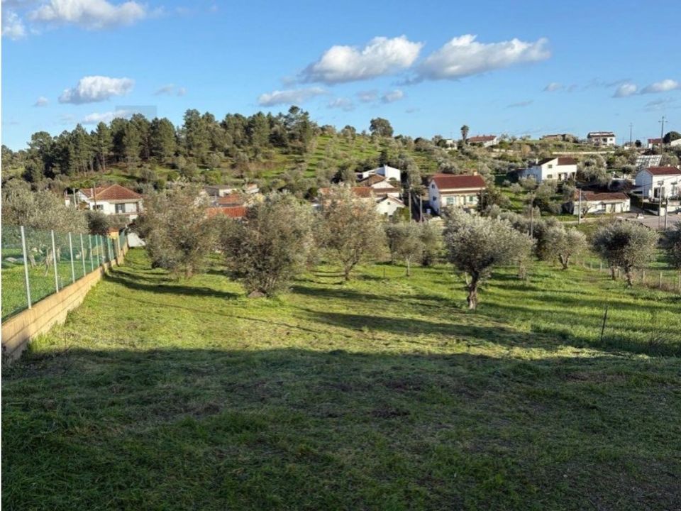 Terra a Mouriscas, Santarem - foto 5