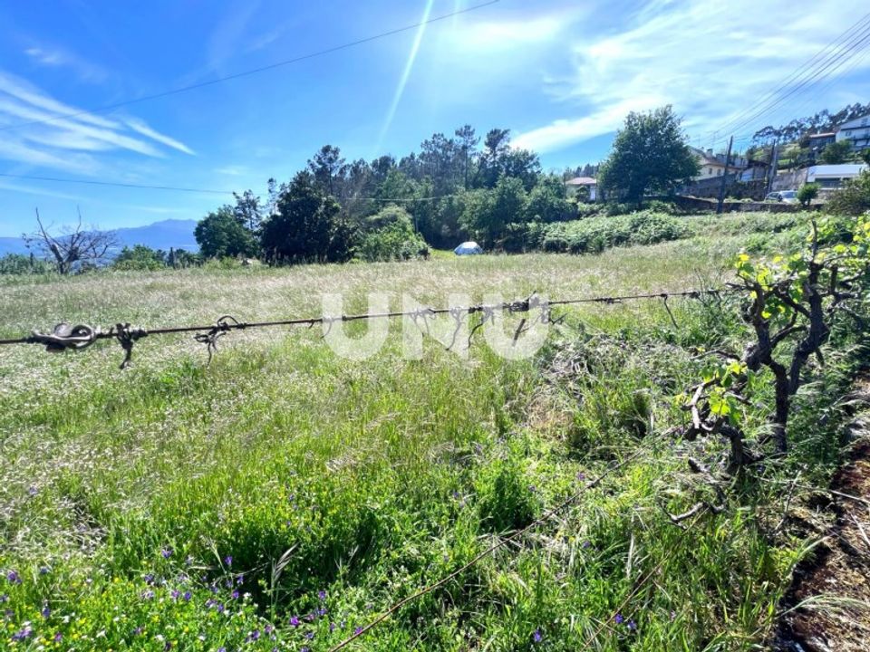 Helårsgrund i Sao Pedro do Sul, Viseu - foto 3