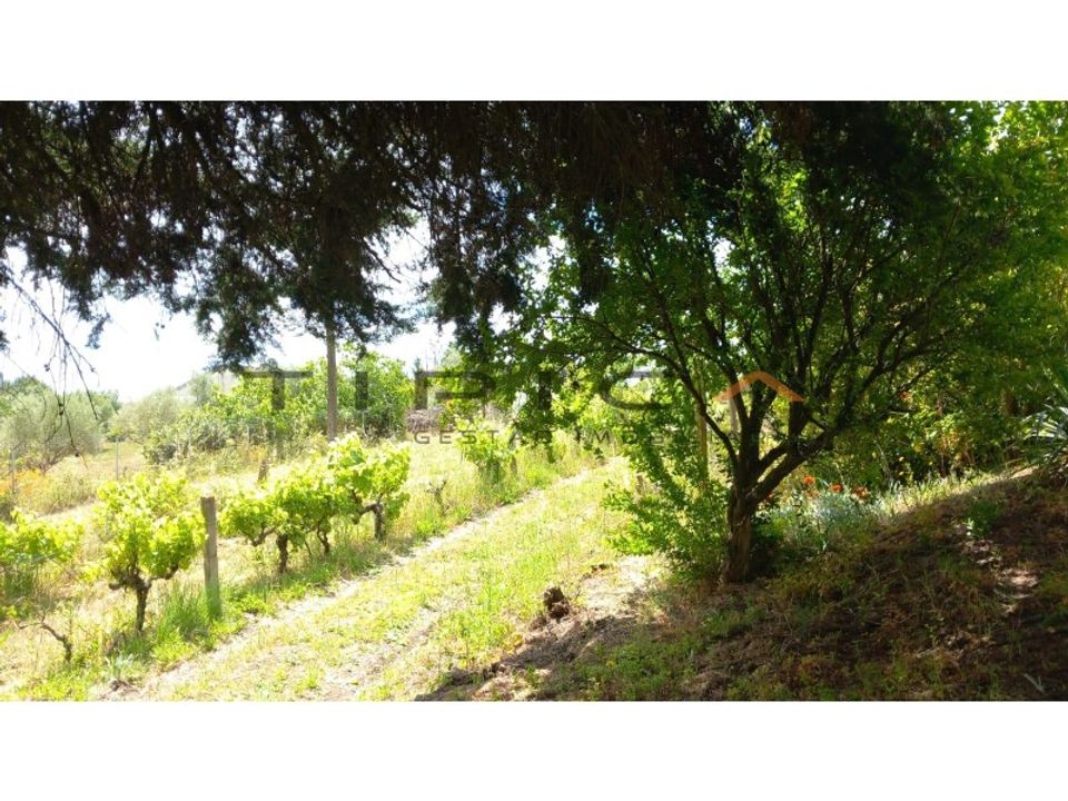 Granja a Azambuja, Lisbon - foto 3