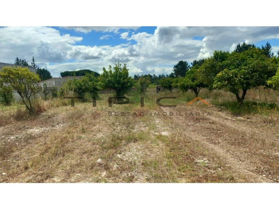 Granja a Azambuja, Lisbon - foto 4