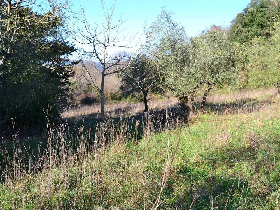Gårdshus i Montescudaio, Pisa - bilde 5