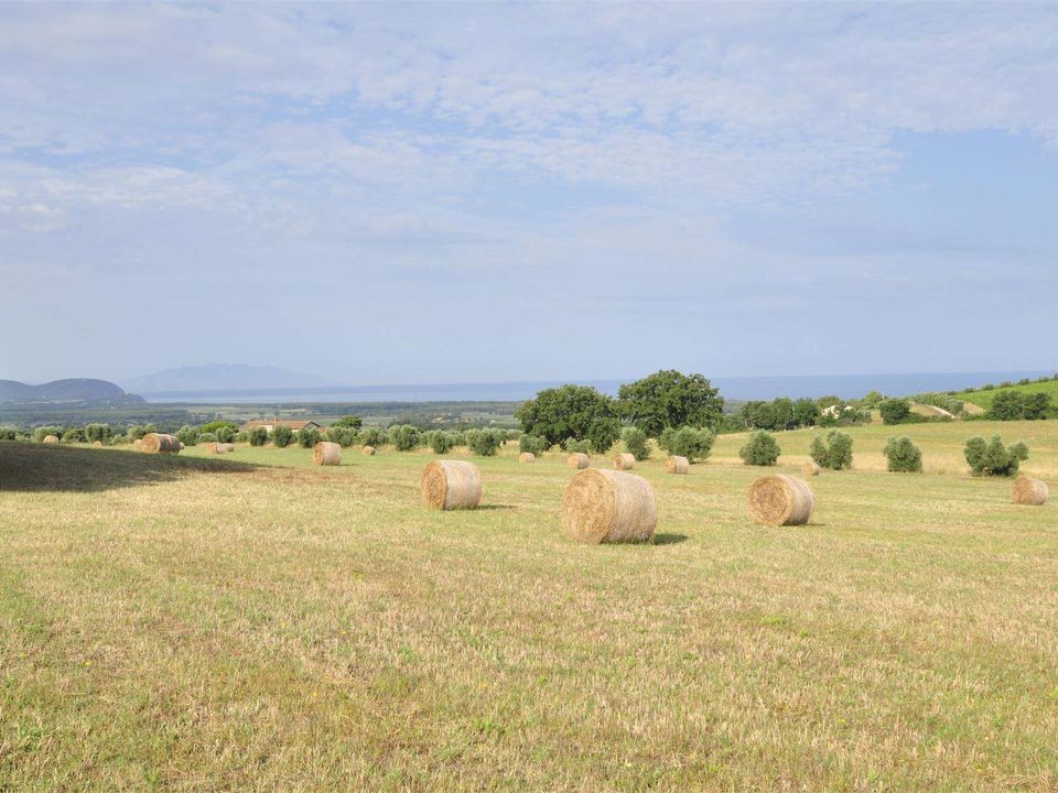 Farm hus i Campiglia Marittima, Livorno - foto 1