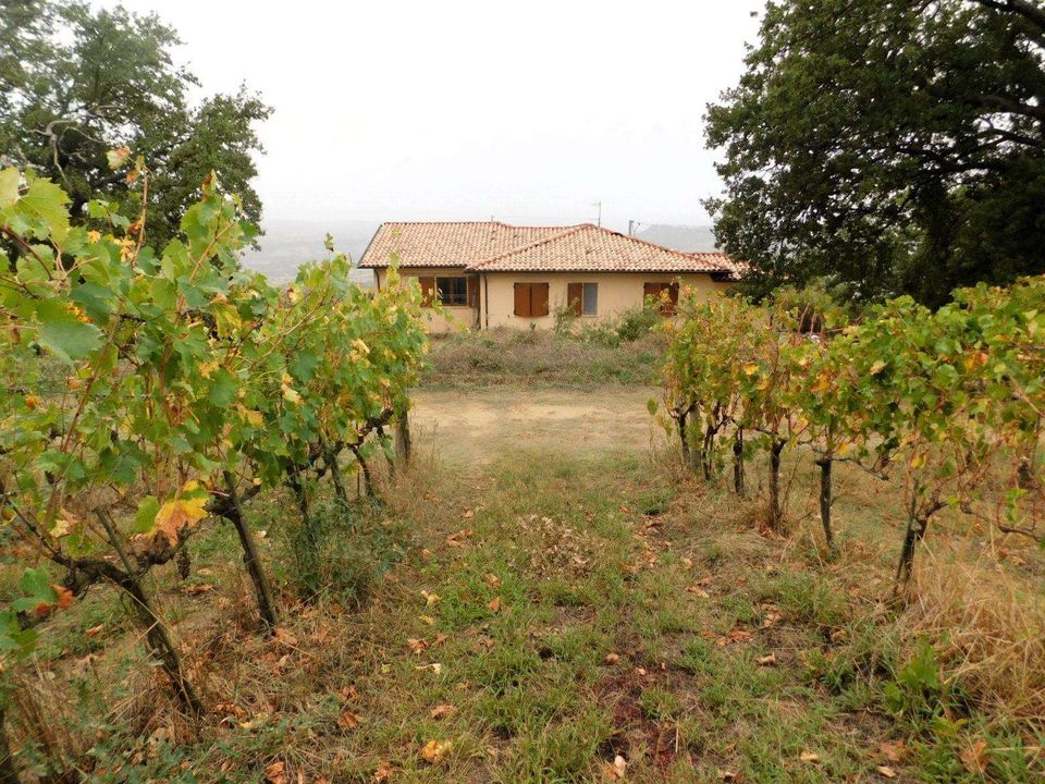 Gårdshus i Manciano, Grosseto - bilde 3