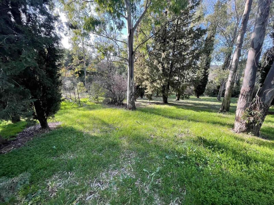 Farm hus i Massa Marittima, Grosseto - foto 4