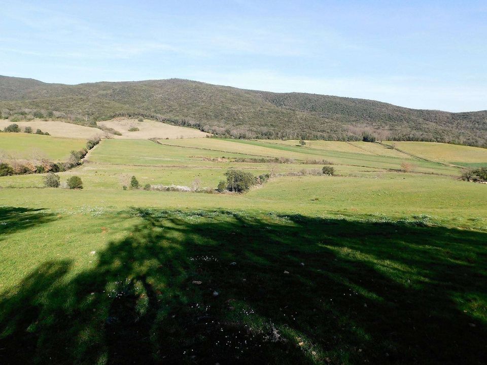 Farm hus i Massa Marittima, Grosseto - foto 5