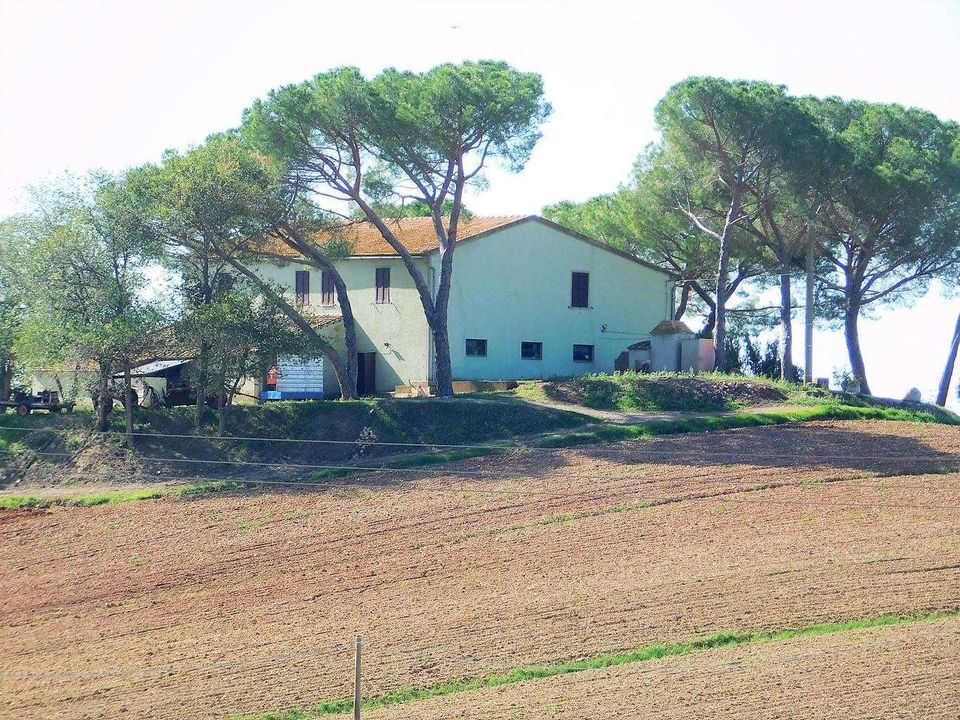 Farm hus i Roccastrada, Grosseto - foto 1