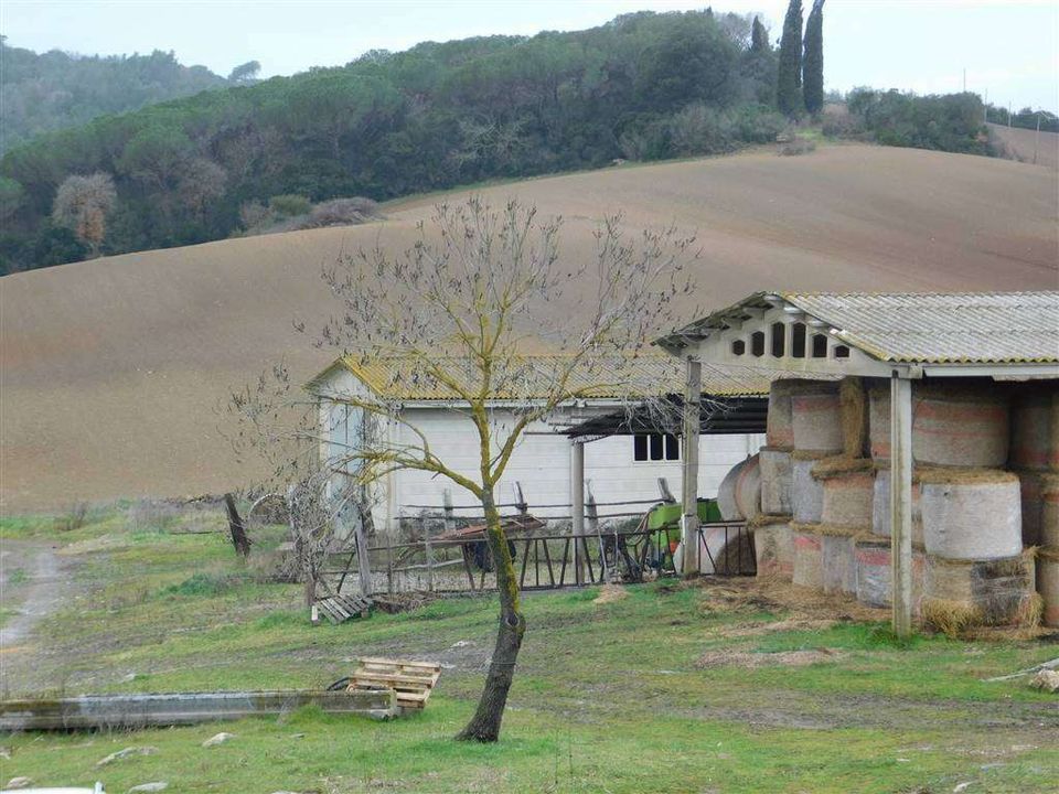 Farm hus i Gavorrano, Grosseto - foto 1