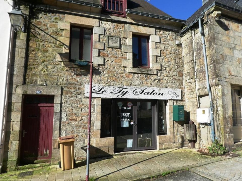 Erhvervsejendom i Guemene-sur-Scorff, Morbihan - foto 1