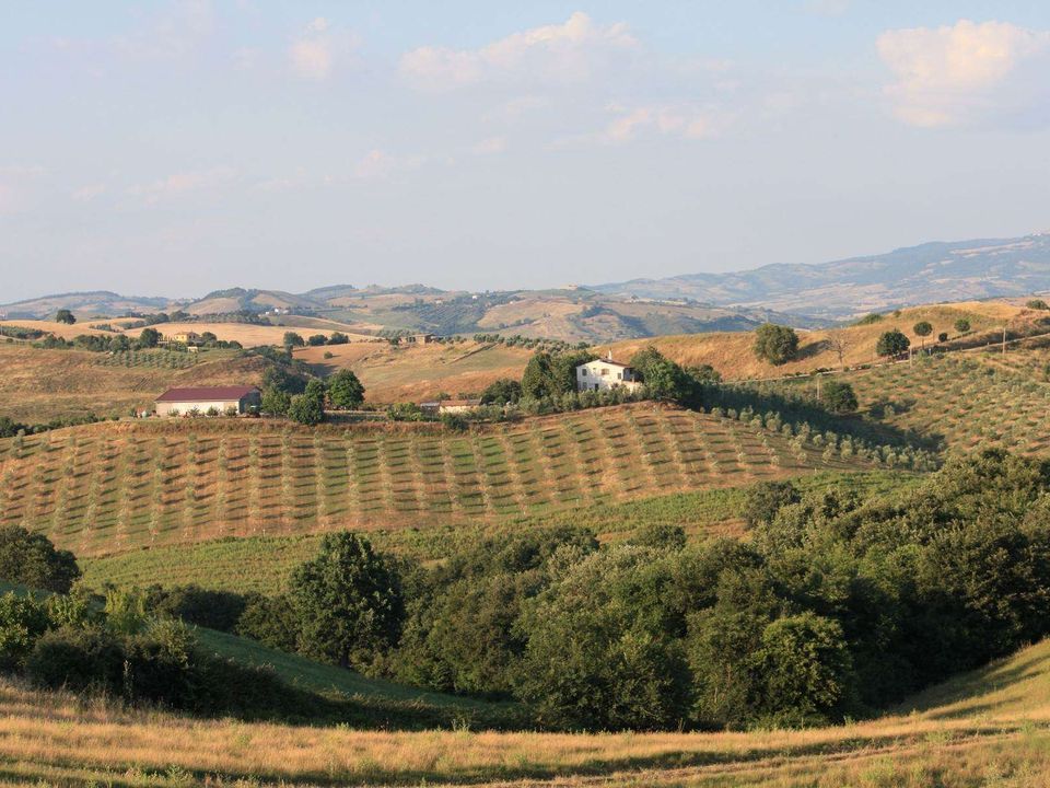 Masia a Campagnatico, Grosseto - foto 3