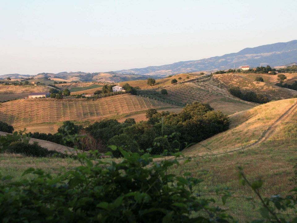 Masia a Campagnatico, Grosseto - foto 5