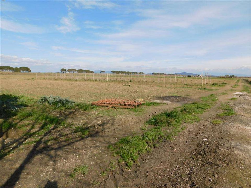 Farm hus i Grosseto, Grosseto - foto 1