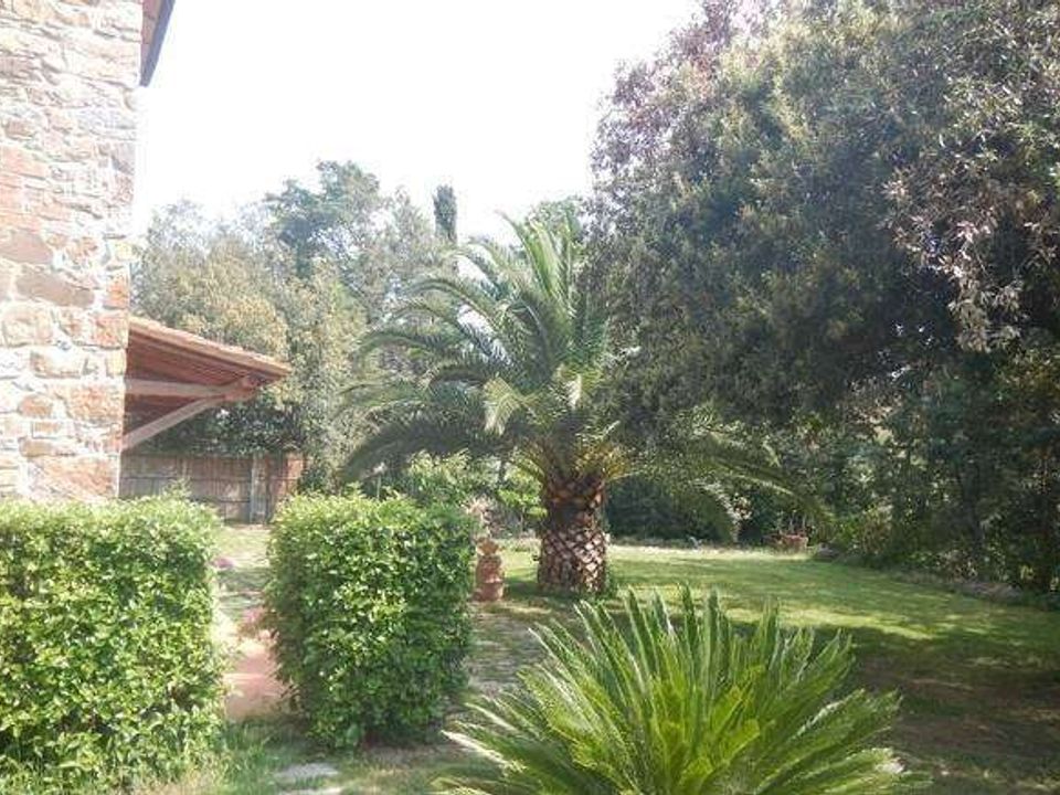 Farm hus i Campagnatico, Grosseto - foto 3