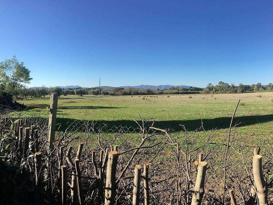 Boerderij in Roccastrada, Grosseto - foto 5