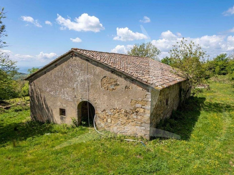 Farm hus i Pontassieve, Florence - foto 5