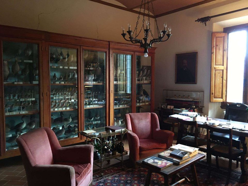 Villa i Vicchio, Florence - bilde 4