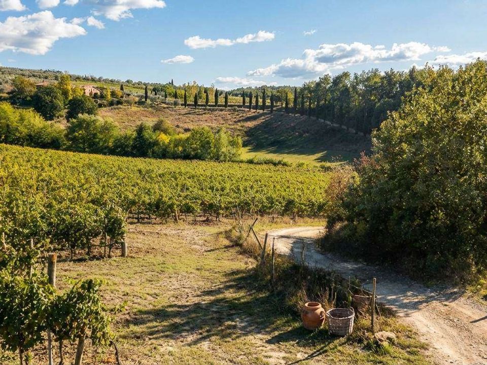 Farm hus i Reggello, Florence - foto 3