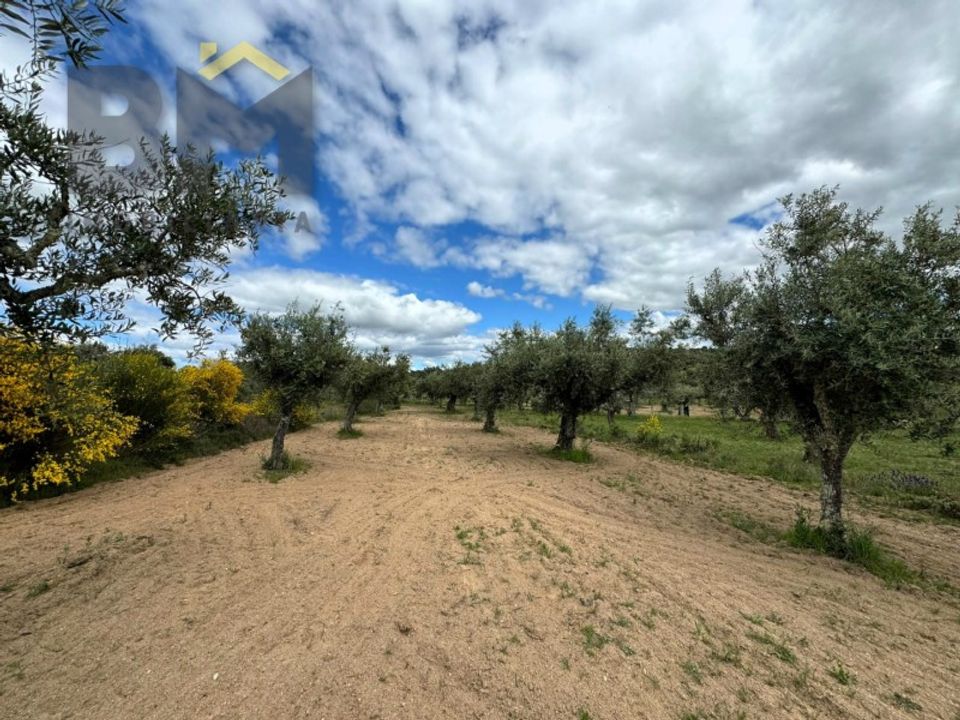 Helårsgrund i Castelo Branco, Castelo Branco - foto 4