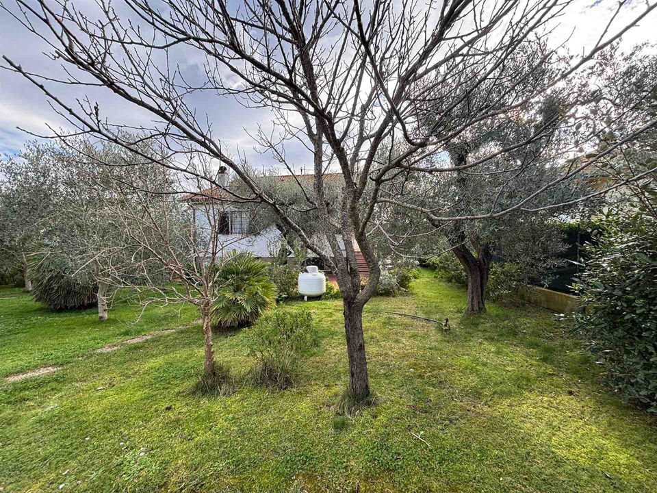 Villa a Grosseto, Grosseto - foto 3