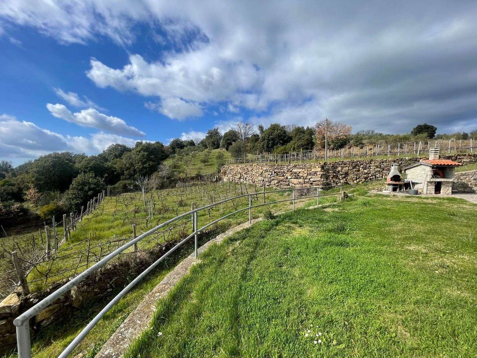 Gårdshus i Massa Marittima, Grosseto - bilde 2