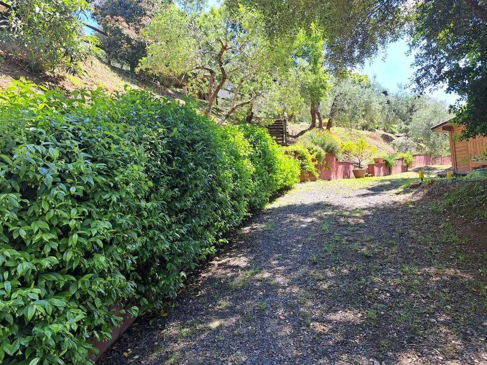 Farm hus i Castagneto Carducci, Livorno - foto 3