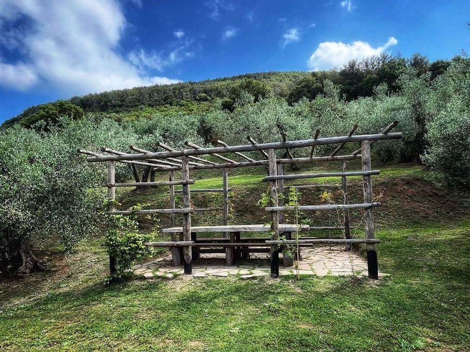 Farm hus i Castagneto Carducci, Livorno - foto 4