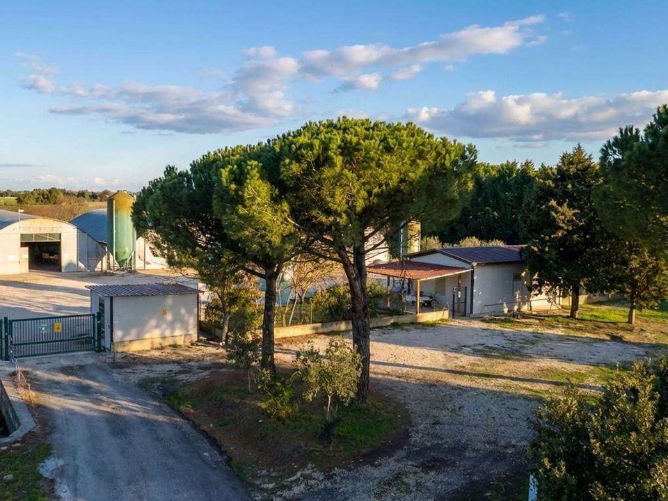 Casa de fazenda em Castiglione del Lago, Perugia - foto 1