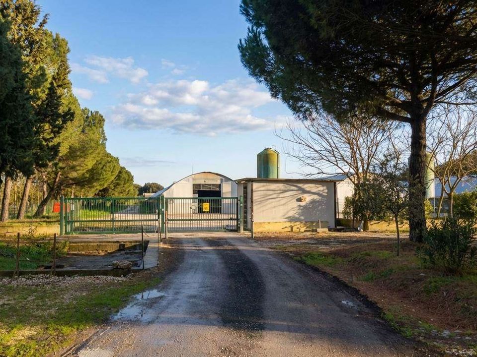 Casa de fazenda em Castiglione del Lago, Perugia - foto 2